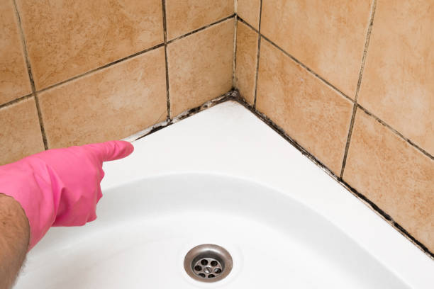 Best Professional Mold Removal  in Kingsland, GA